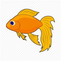 Image result for Goldfish ClipArt