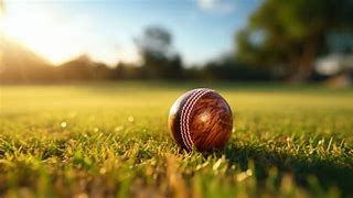 Image result for Cricket Bat and Ball Logo