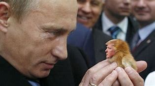 Image result for pro-Putin Memes