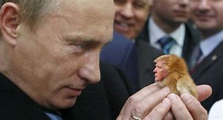 Image result for Indiana Putin Meme