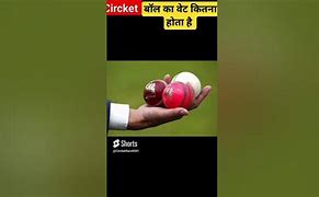 Image result for Ball Used in Circket