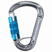 Image result for Hook Carabiner with Eye