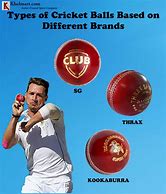 Image result for Cricket Products