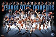 Image result for Football and Basketball Poster