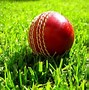Image result for Cricket Poster Background
