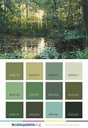 Image result for Swamp Color Palette