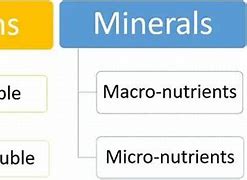 Image result for What Is the Difference Between a Vitamin and a Mineral