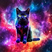 Image result for Galaxy Kitten