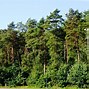 Image result for co_oznacza_zespoły_przyrodniczo krajobrazowe