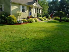 Image result for Lawn Dawg