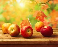 Image result for Fall Apple Harvest