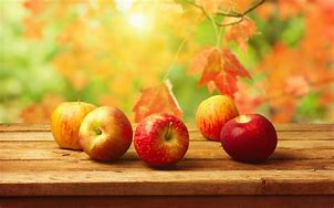 Image result for Apple Fall Harvest Desktop