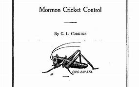 Image result for Be the Mormon Cricket Quotes