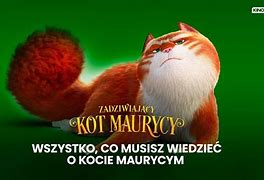 Image result for co_oznacza_zadziwiający_maurycy_i_jego_uczone_szczury