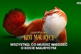Image result for co_to_za_zadziwiający_maurycy_i_jego_edukowane_gryzonie