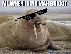 Image result for Walrus Eye Liner Memes
