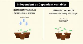 Image result for Difference Between Independent and Dependent Variable