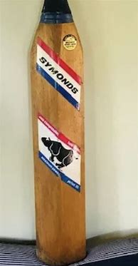Image result for Symonds Cricket Bat