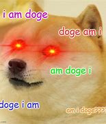 Image result for Doge Dog with Bat Meme