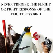 Image result for Penguin Fight or Flight Meme