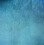 Image result for Blue Grunge Textures for Photoshop