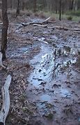 Image result for Toxic Waste in Water