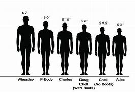 Image result for 160 Cm Height