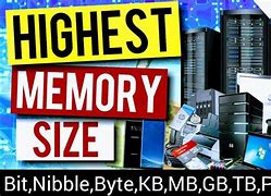 Image result for Bytes and Nibbles Bublbs