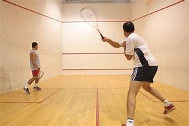 Image result for Squash Sport