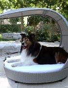 Image result for Outdoor Pet Bed