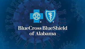 Image result for Blue Cross Blue Shield Alabama