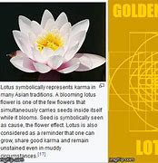 Image result for Lotus Meme