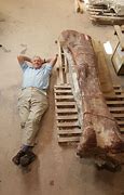 Image result for Largest Known Dinosaur