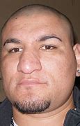 Image result for chris_arreola