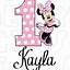 Image result for Minnie Mouse Pink Princess