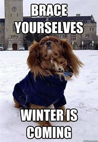 Image result for Winter Is Coming Funny