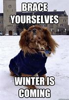 Image result for Funny Winter Memes