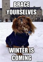 Image result for Memes About Winter