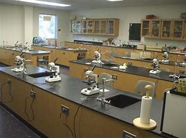Image result for pGLO Lab Apparatus