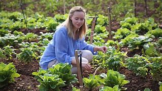 Image result for Organic Farming Practices