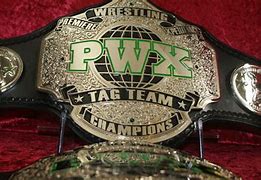 Image result for Custom Wrestling Belts