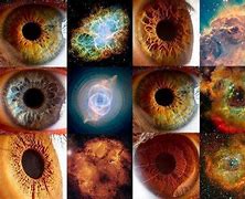 Image result for Universe Funcitons Like a Giant Brain