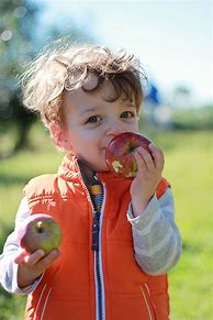 Image result for Toddler Apple's