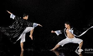 Image result for Martial Arts Photography