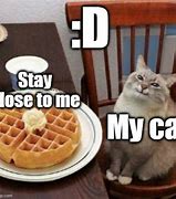 Image result for Cat Smiling Waffle Meme