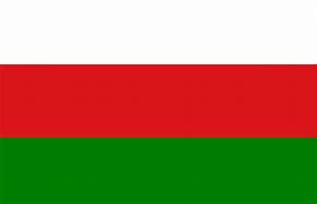 Image result for Alternate Oman Flag