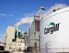 Image result for cargill