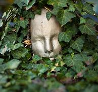 Image result for Vines Decor