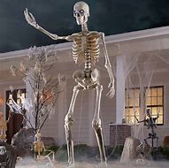 Image result for Very Big Skeleton