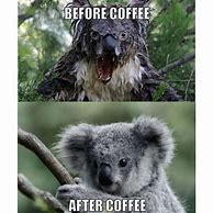 Image result for Funny Animal Coffee Memes